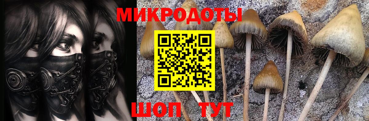 Галлюциногенные грибы MAGIC MUSHROOMS Всеволожск