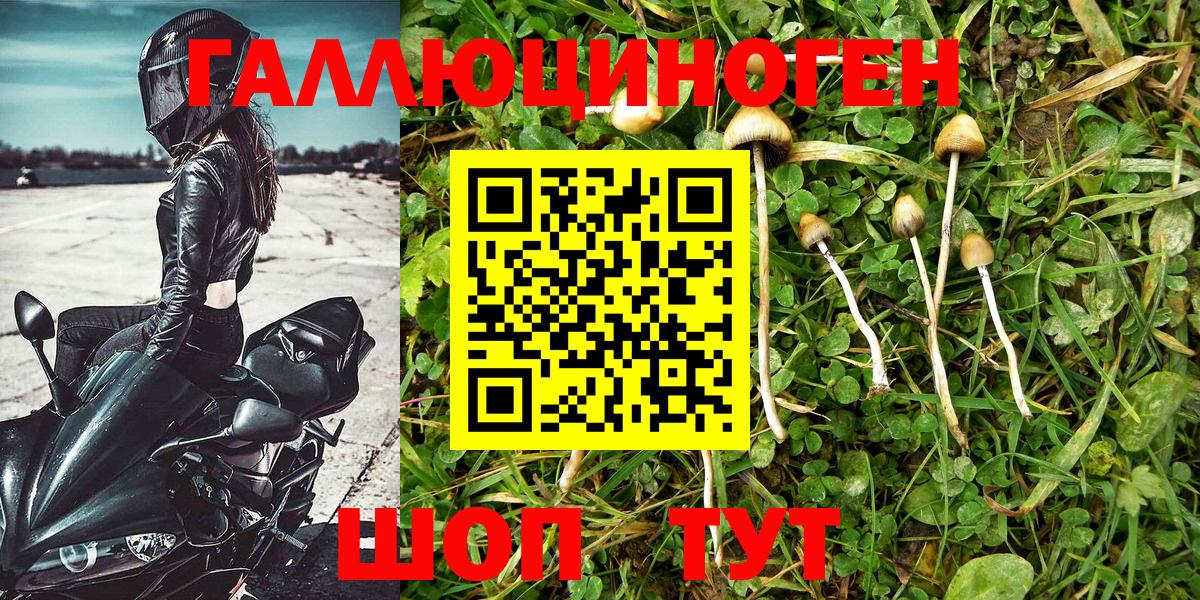как найти наркотики  Галлюциногенные грибы MAGIC MUSHROOMS  Вход с VPN  Всеволожск 